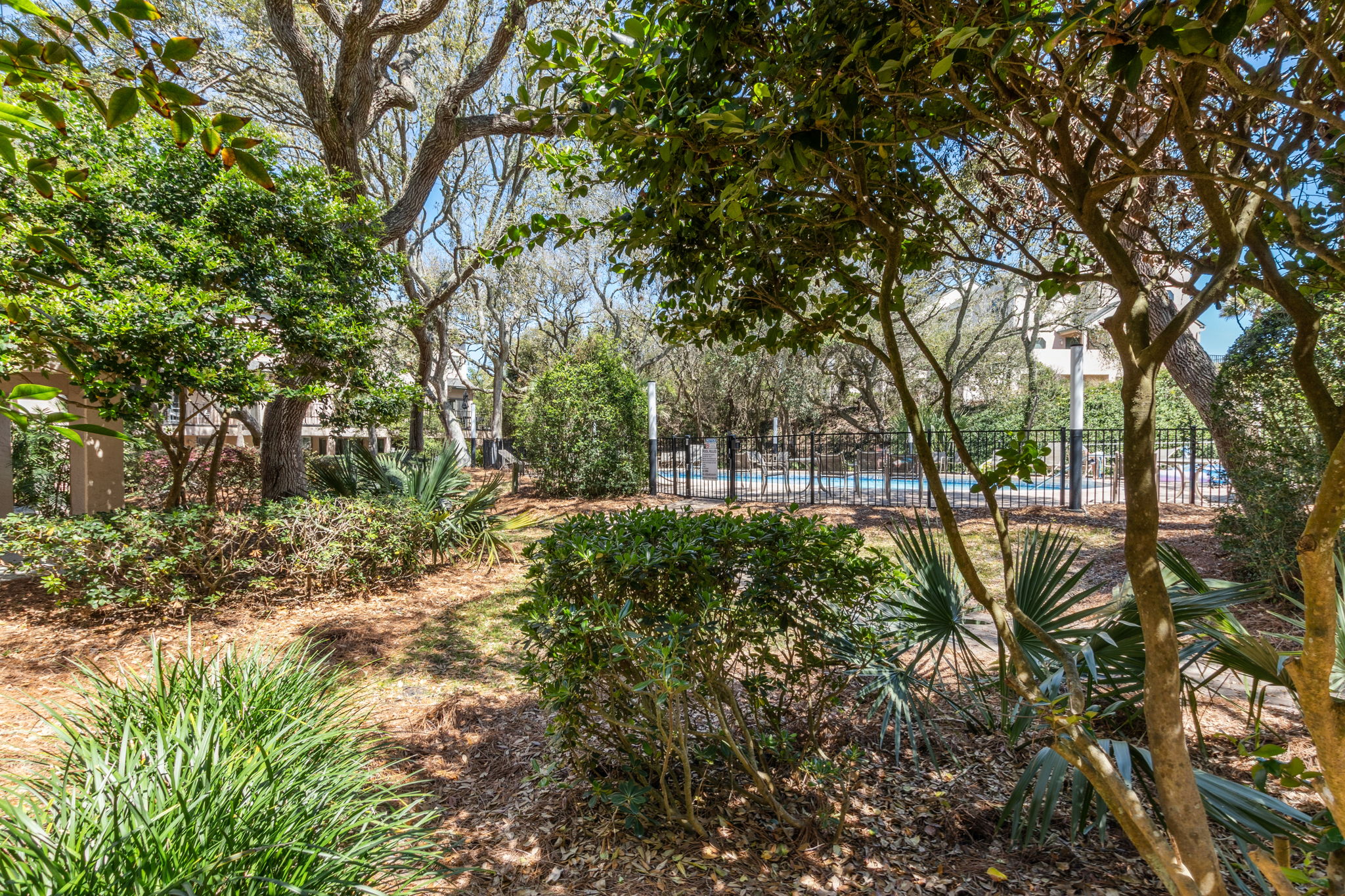 Path to Pool