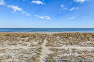 Amelia Island beaches are magical...