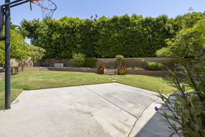 Built in Basketball Hoop