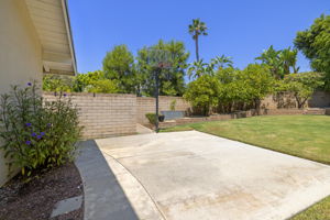 Side Yard