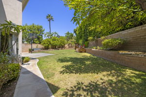 Side Yard