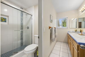 Guest Bath & Shower