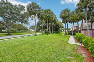 50th Way-S2506-006.jpg