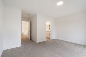  Photo 38