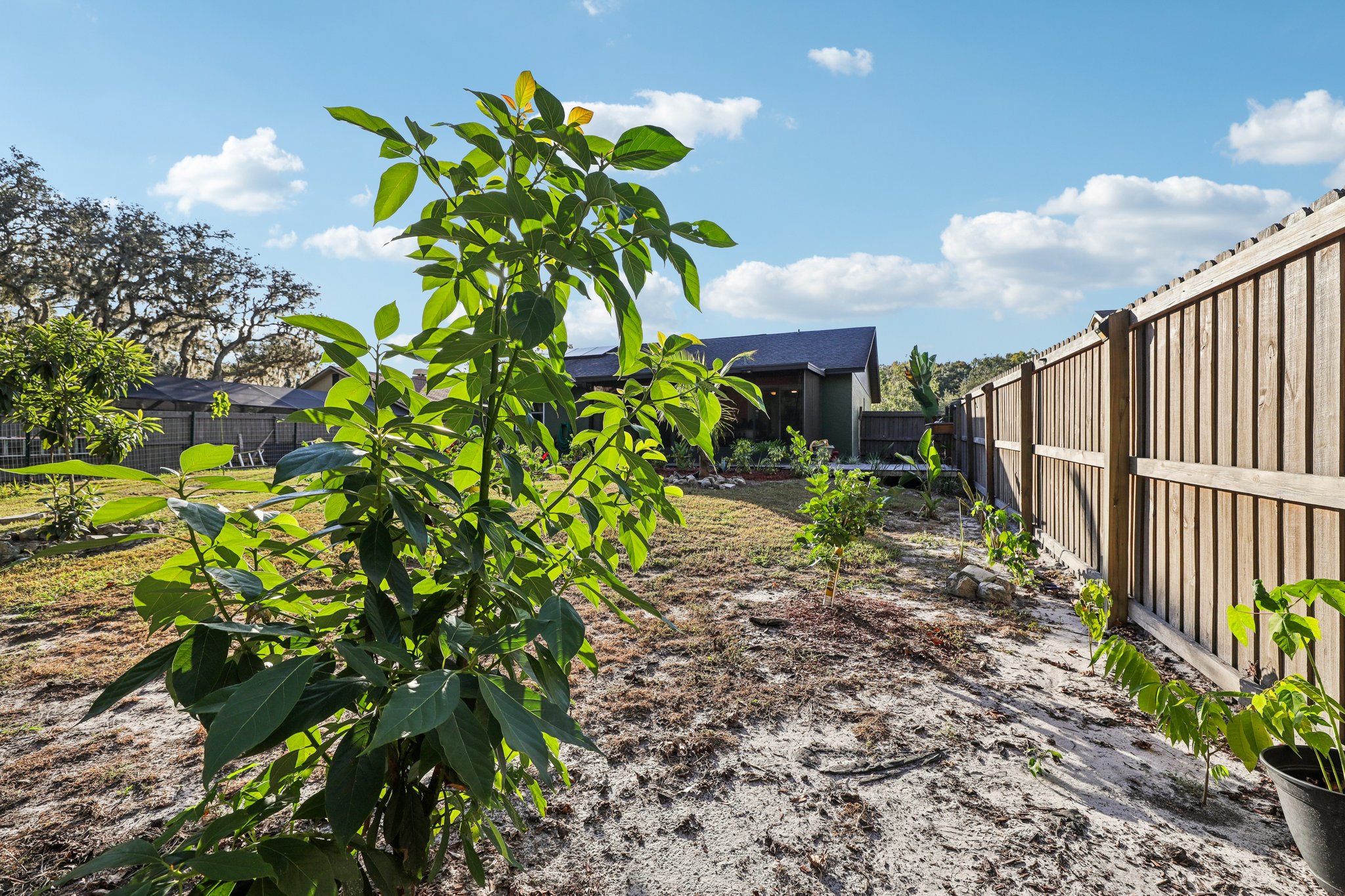 Swallow Dr-S0811-049.jpg