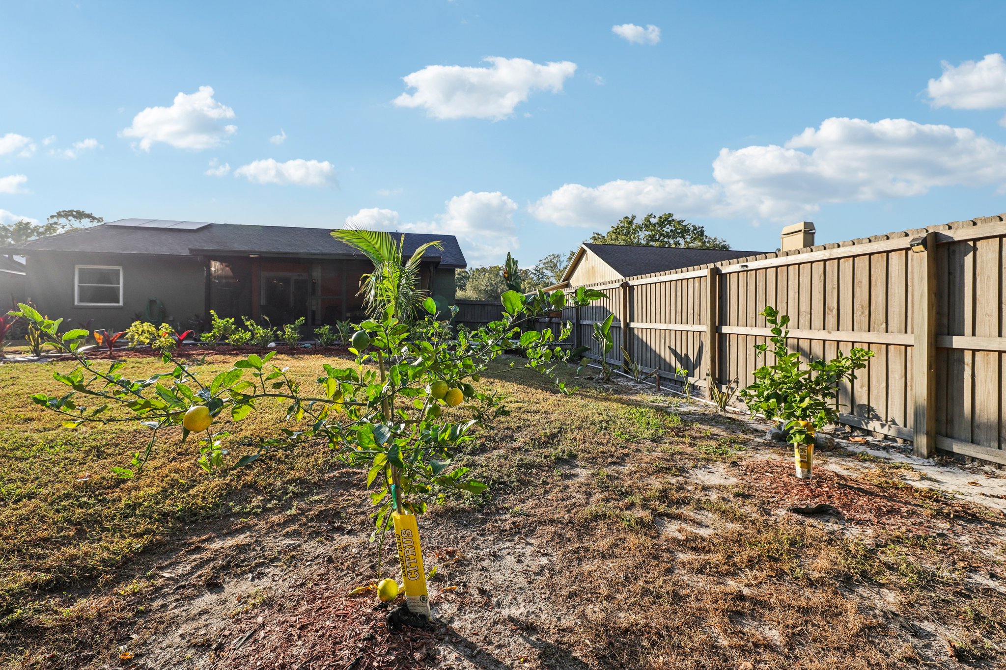 Swallow Dr-S0811-050.jpg