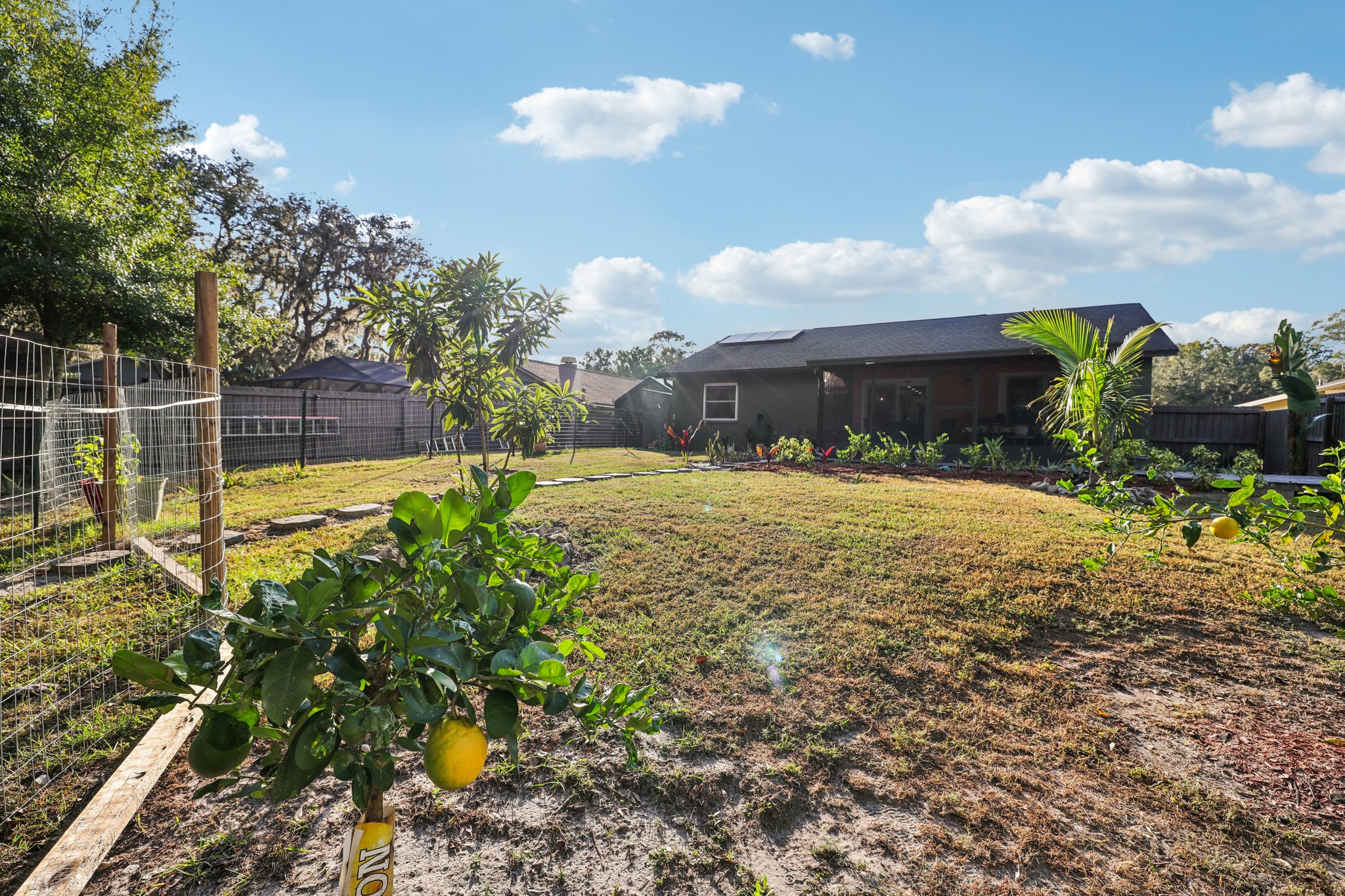 Swallow Dr-S0811-051.jpg