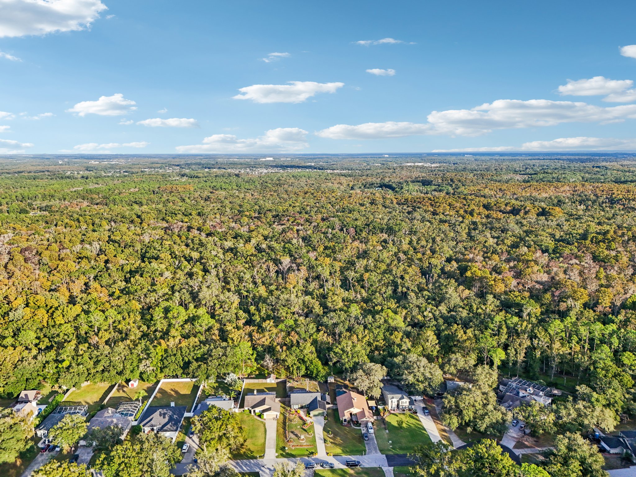 Swallow Dr-S0811-057.jpg