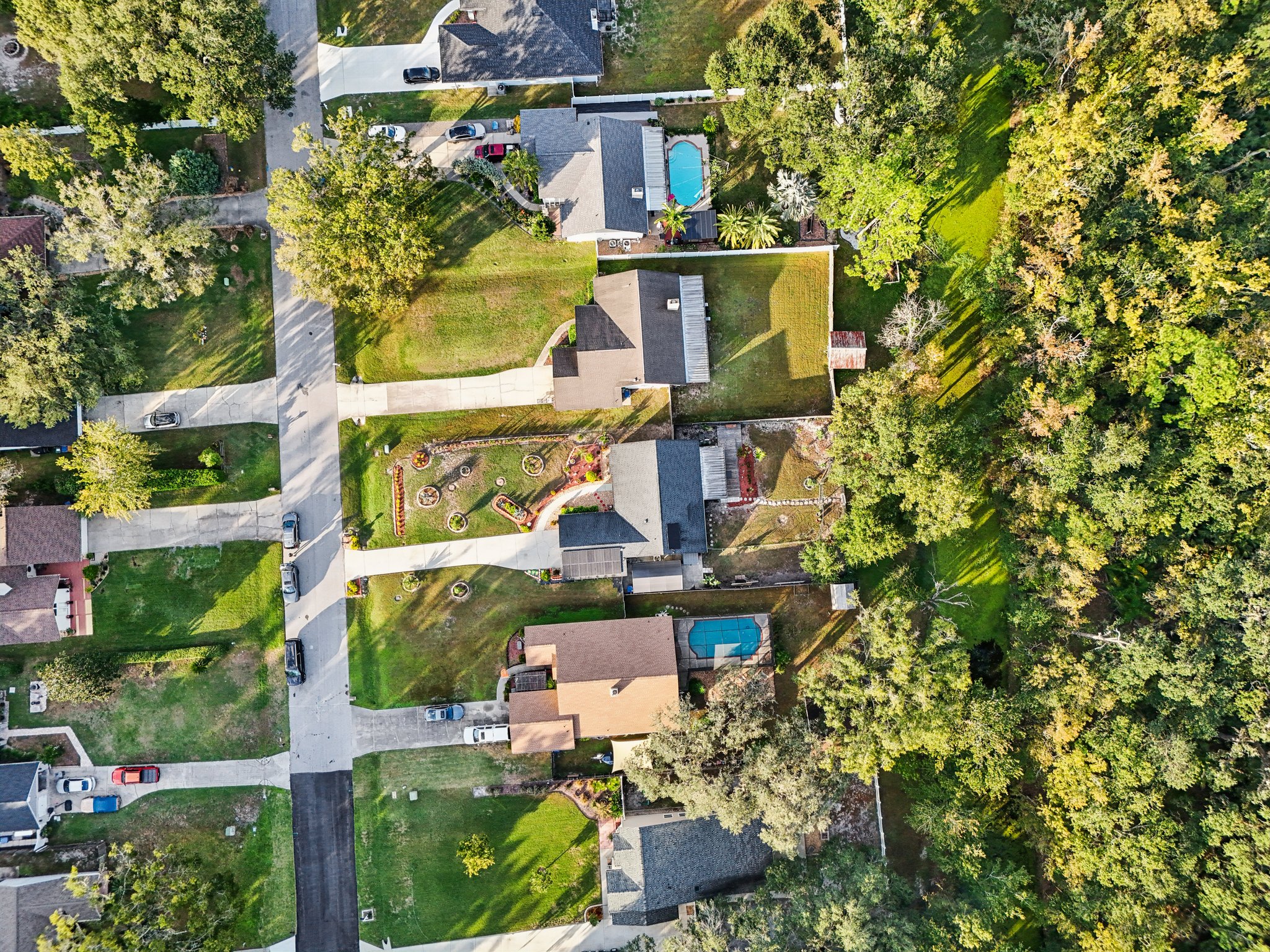 Swallow Dr-S0811-059.jpg