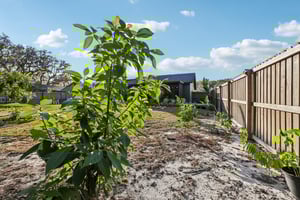 Swallow Dr-S0811-049.jpg