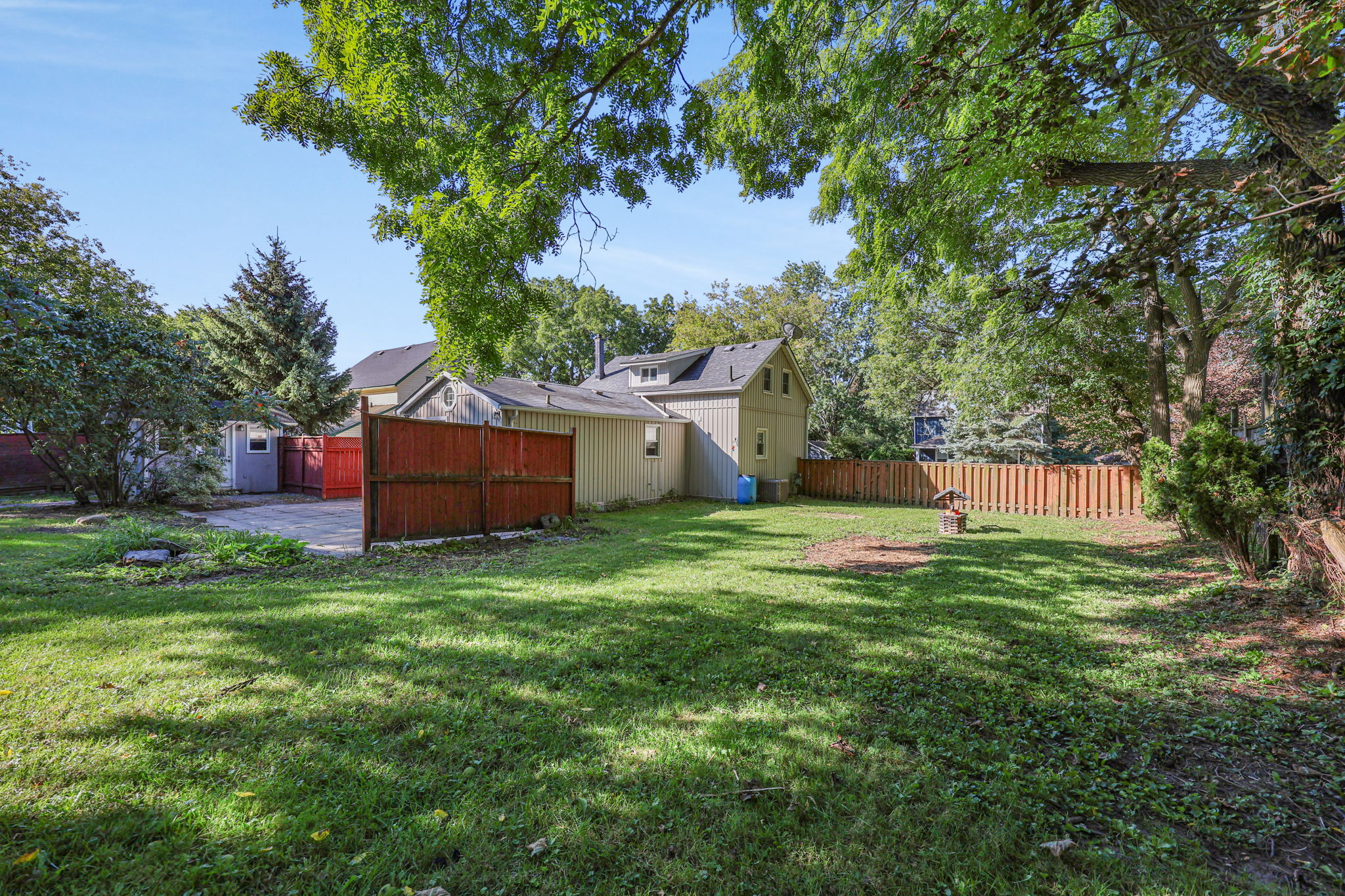 Photo 55