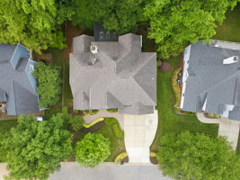  Photo 113