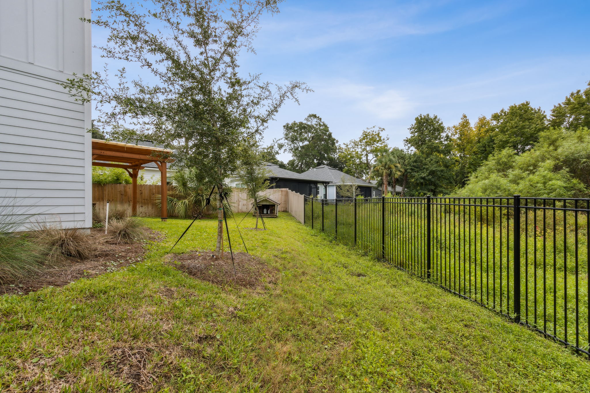 Backyard