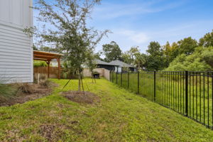 Backyard