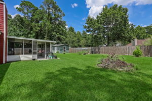 Backyard