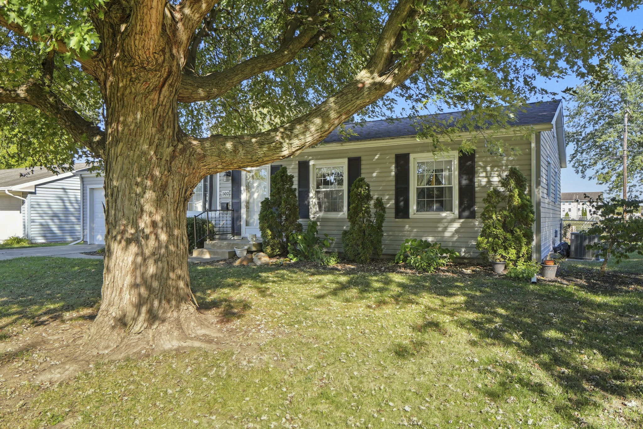  Photo 7