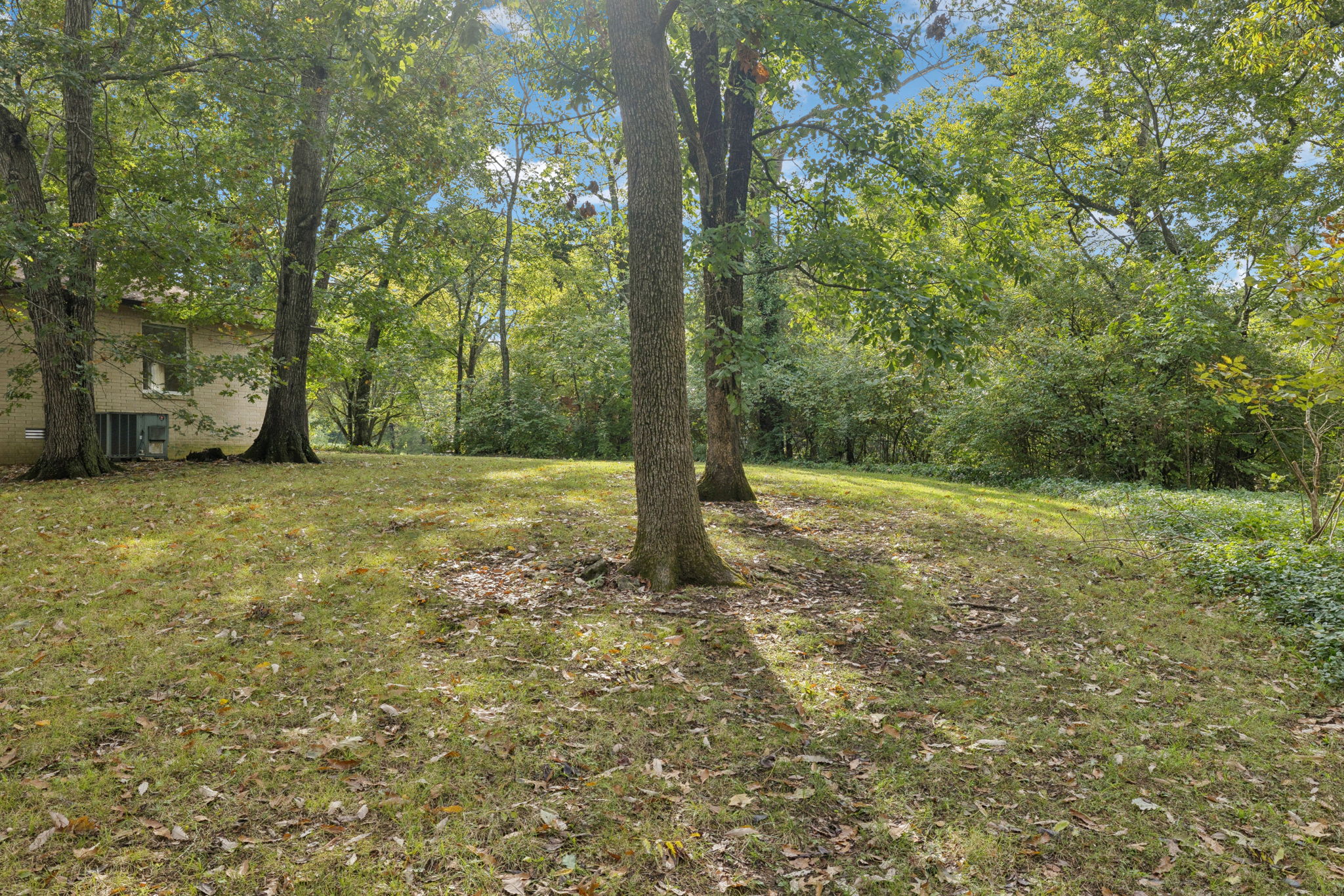  Photo 48