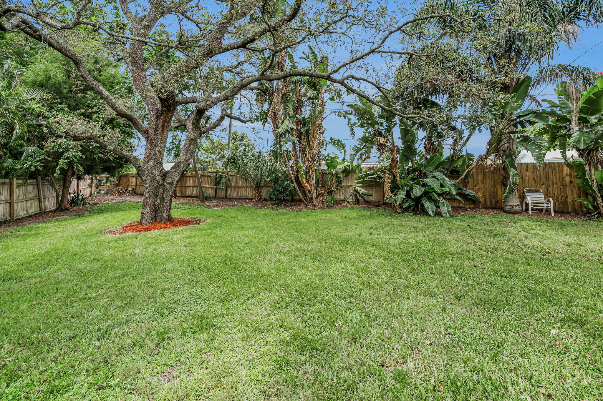 Backyard8