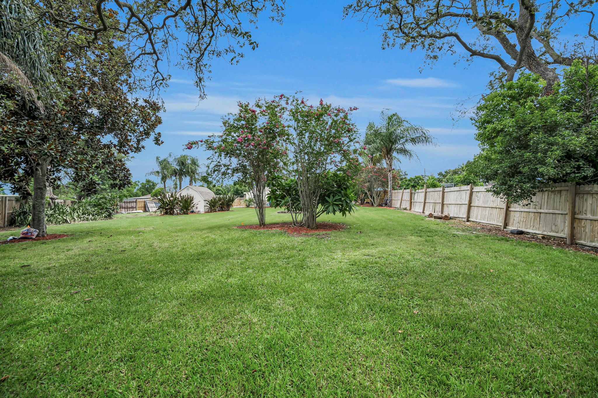 Backyard10
