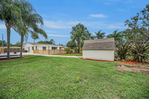 Backyard4