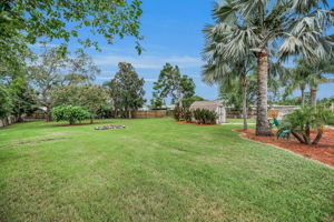 Backyard6