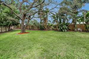 Backyard8