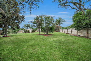 Backyard10