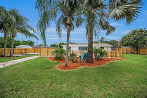 Backyard14