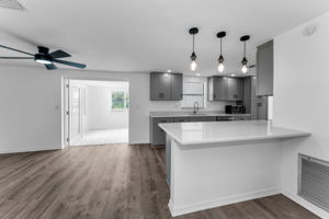 Kitchen1