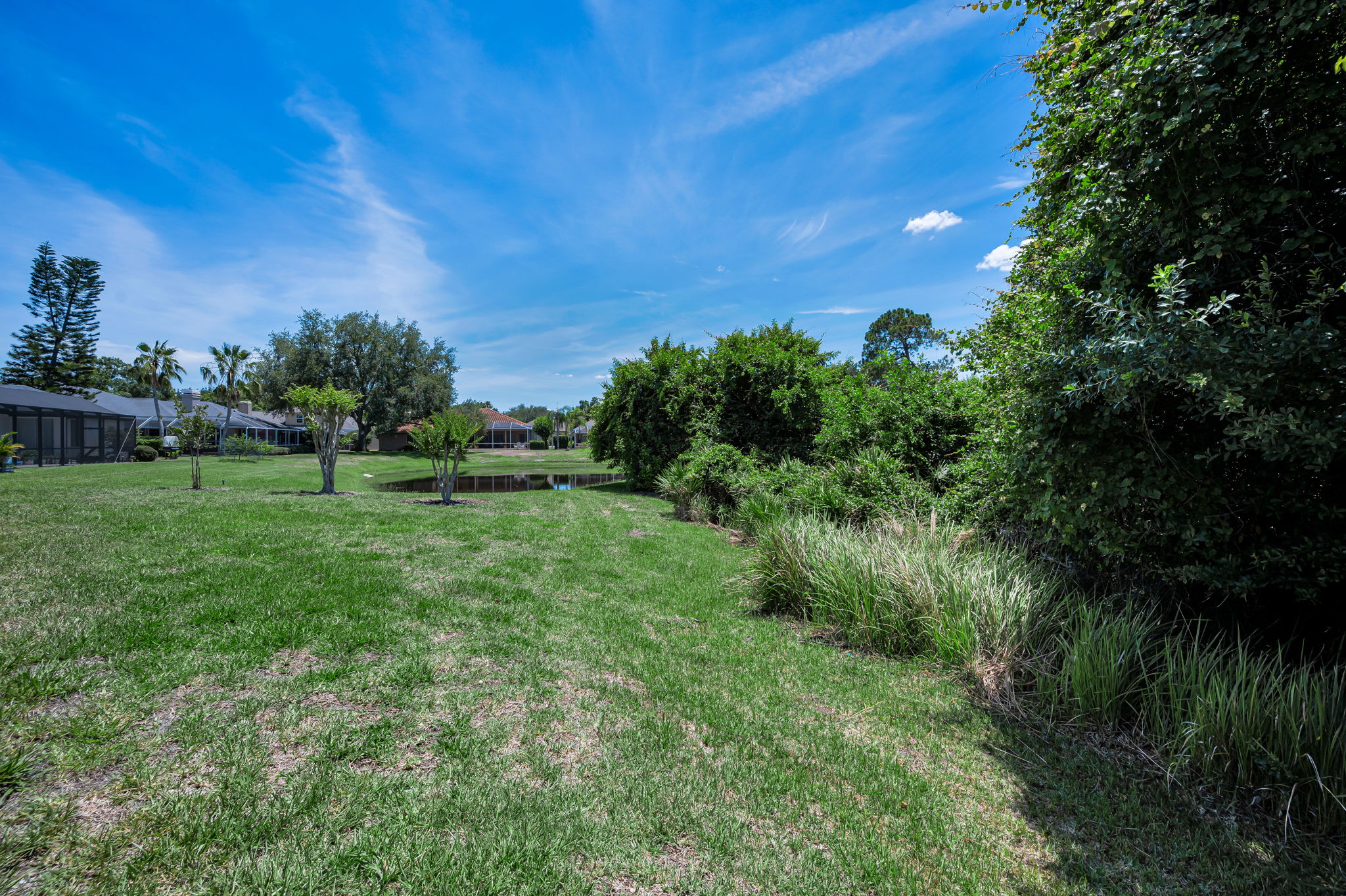 Backyard3