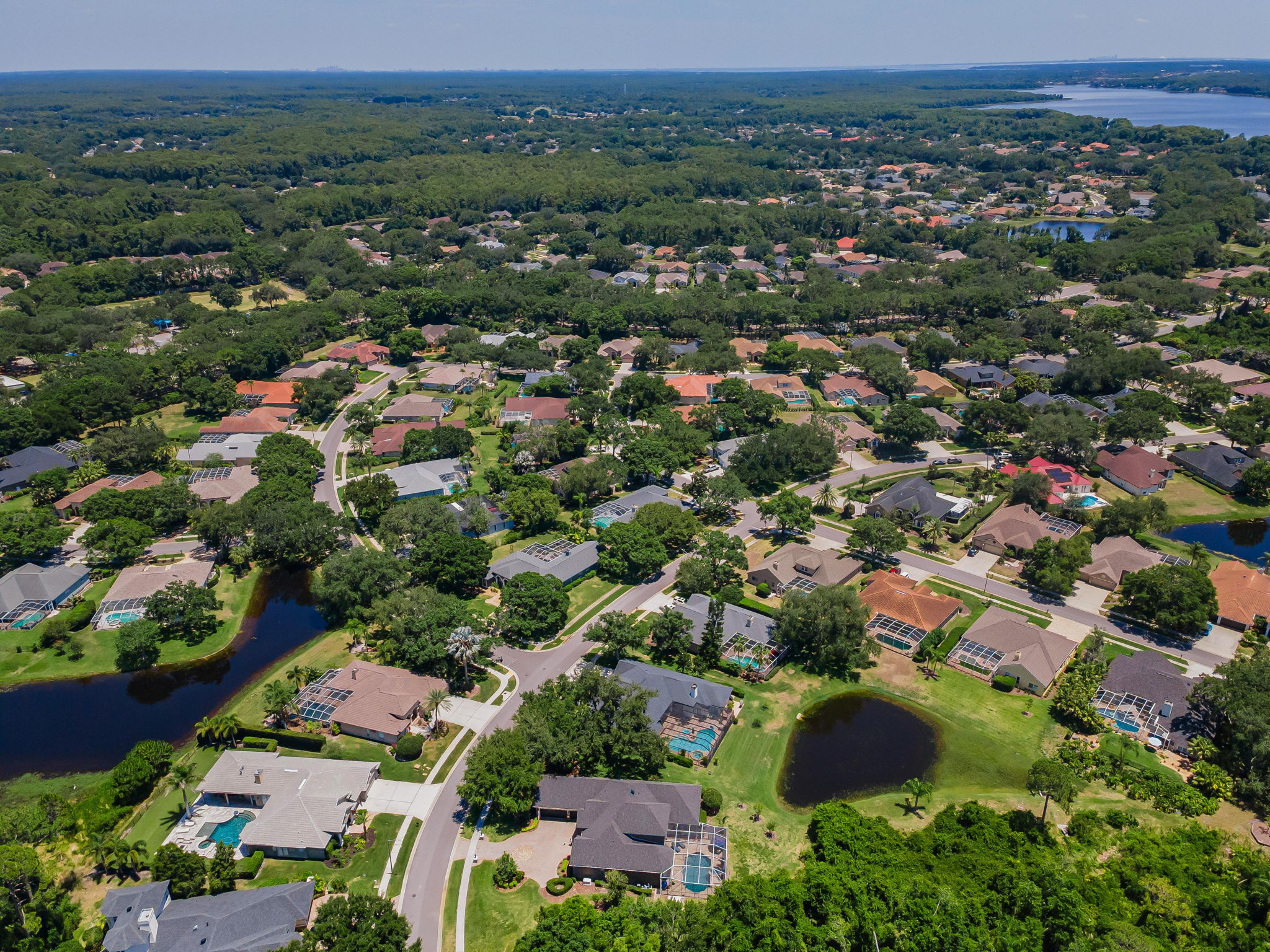 Aerial (17)