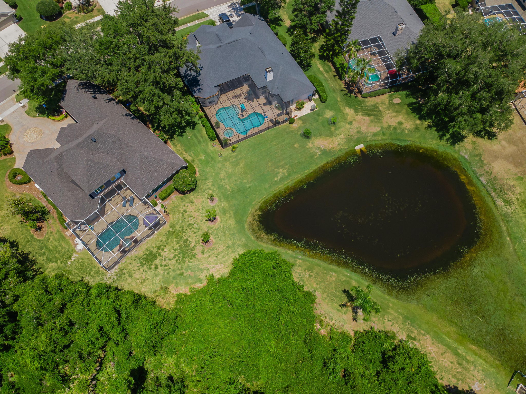 Aerial (18)