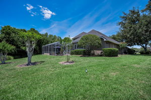 Backyard5