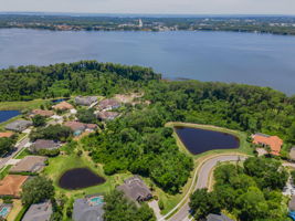 Aerial (5)