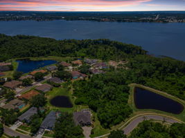 Aerial (20)