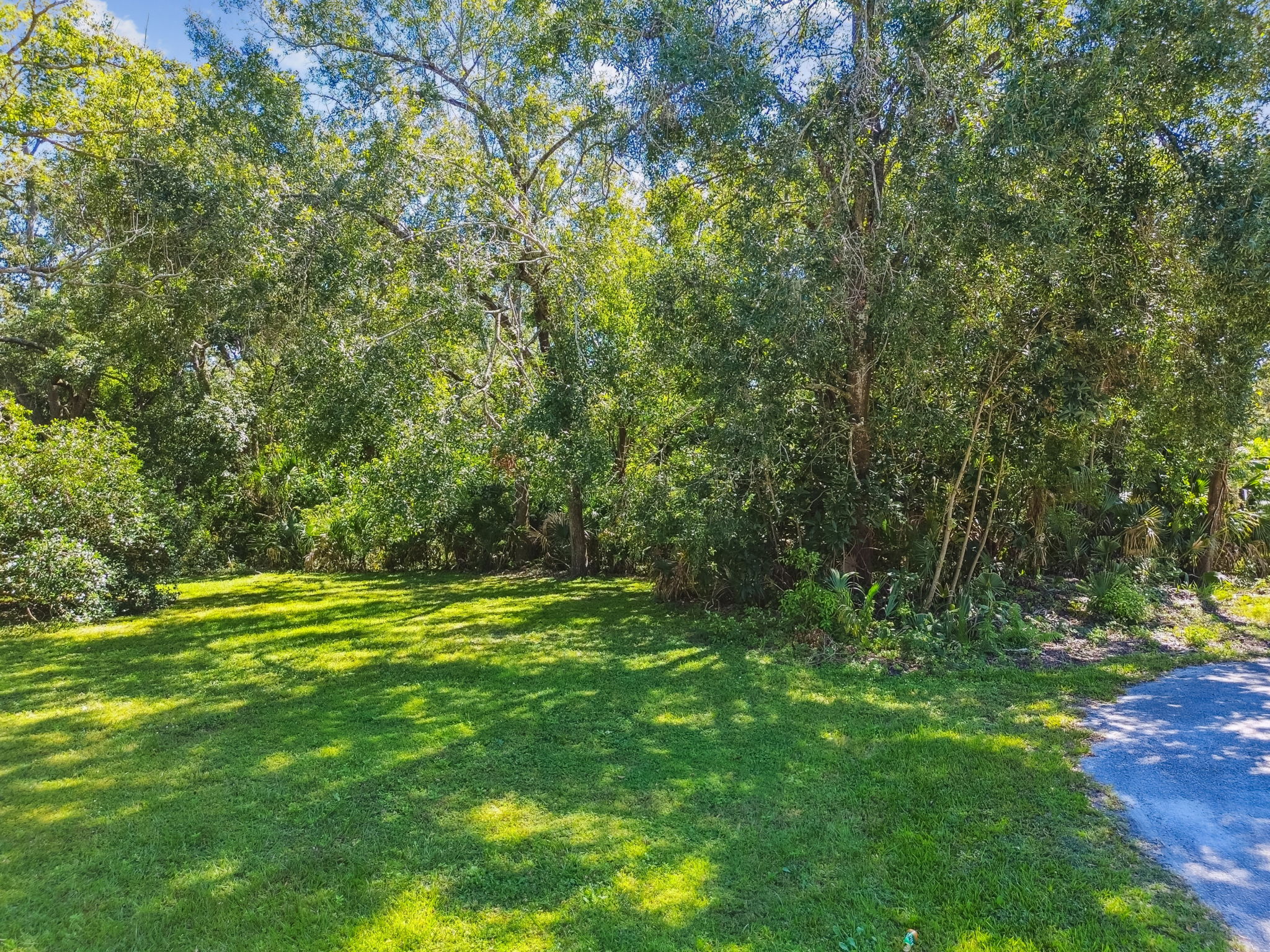 DJI_0885