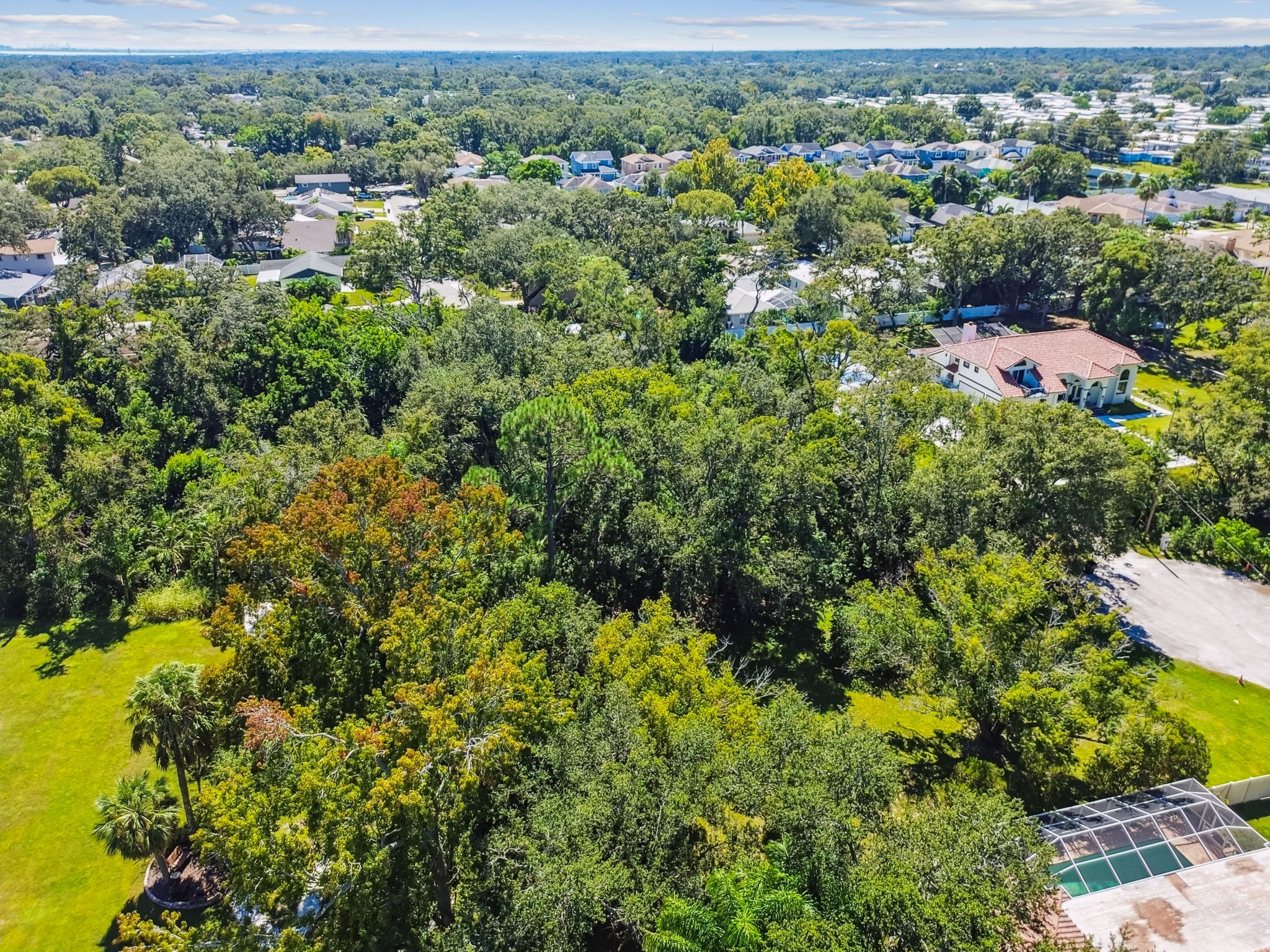 DJI_0894