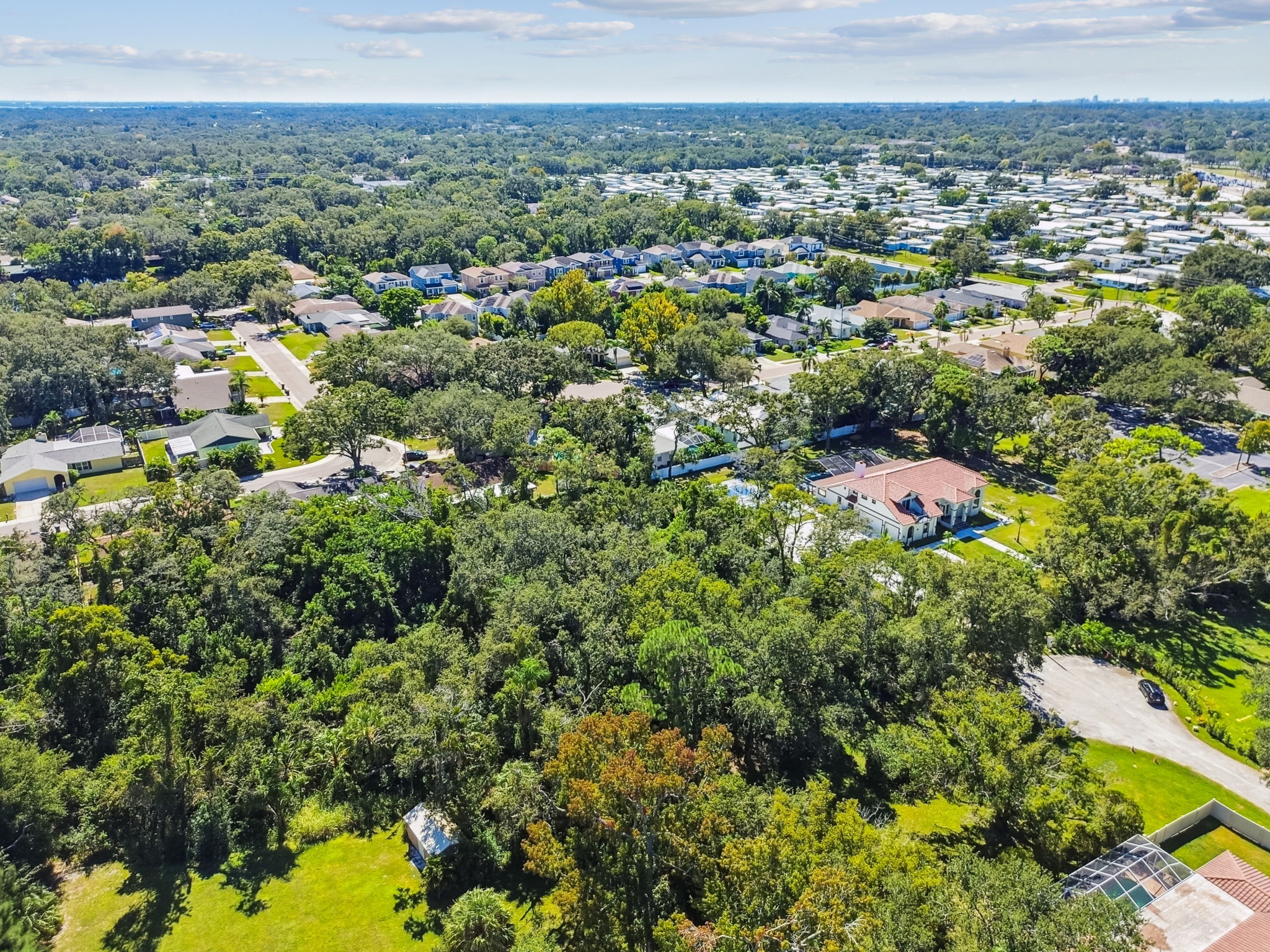 DJI_0924