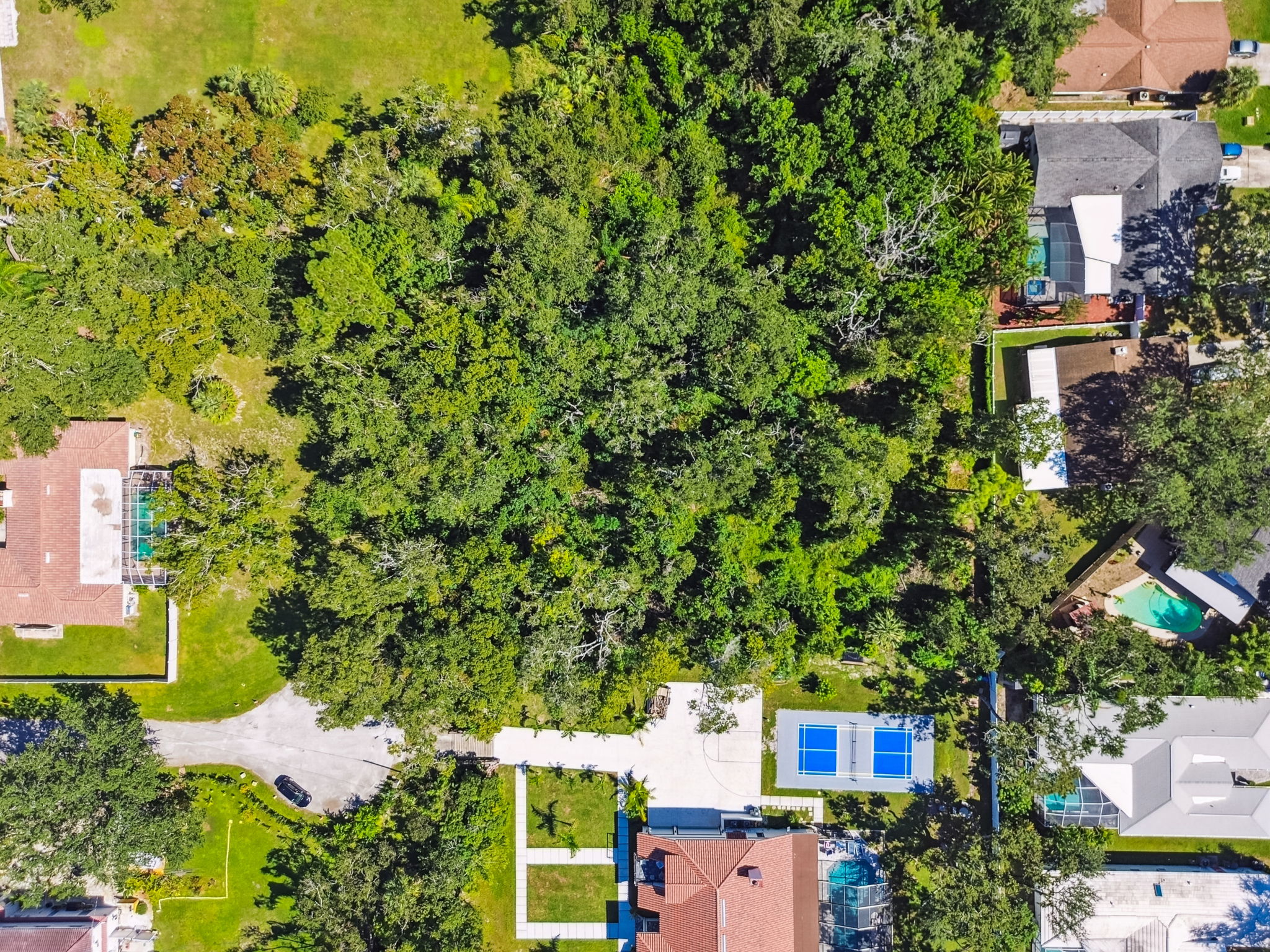 DJI_0951