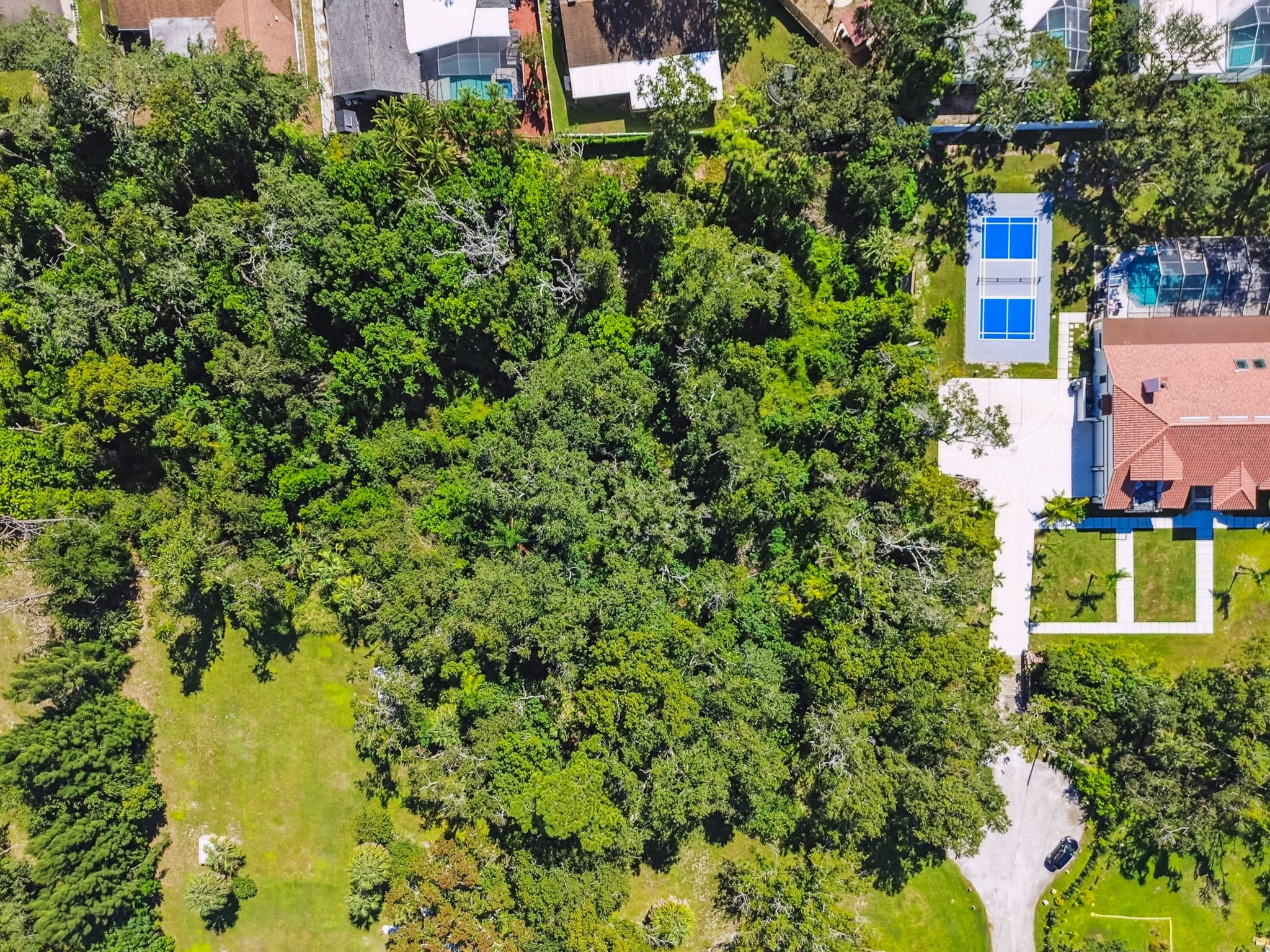 DJI_0954