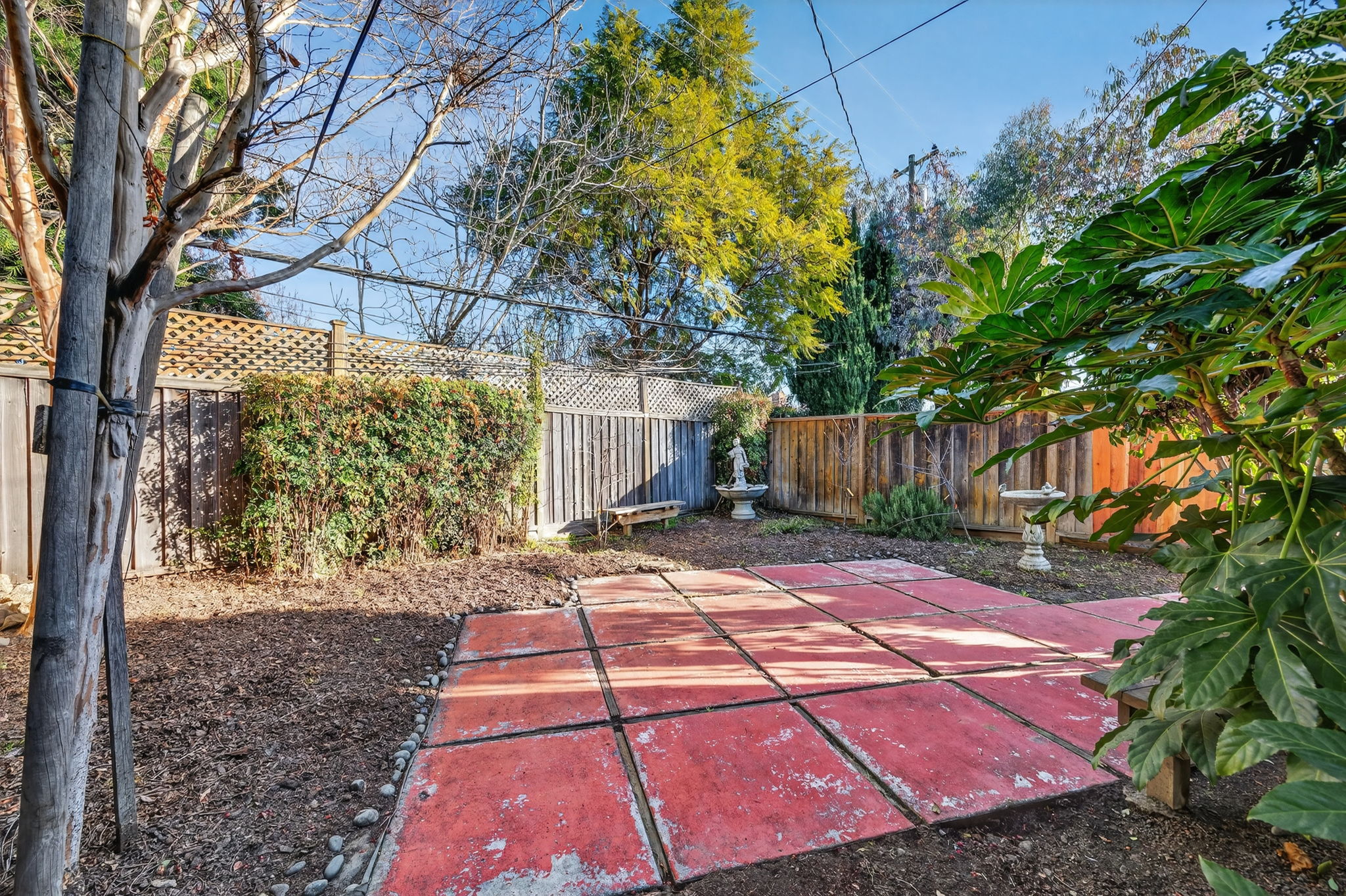 5029 backyard 1