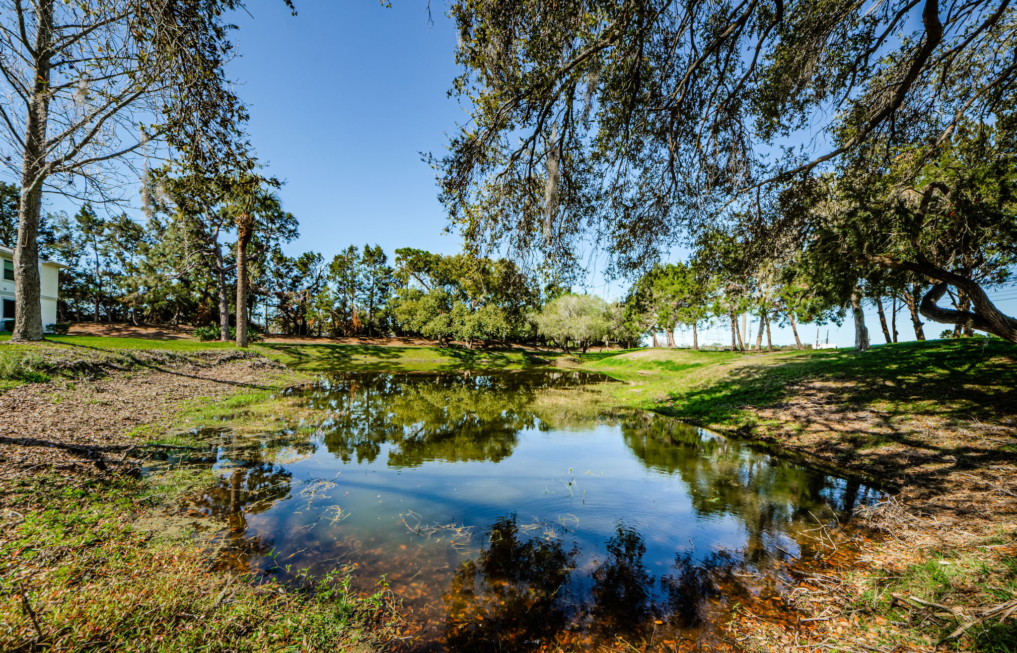 Pond View 1