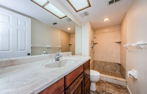 Master Bathroom 1a