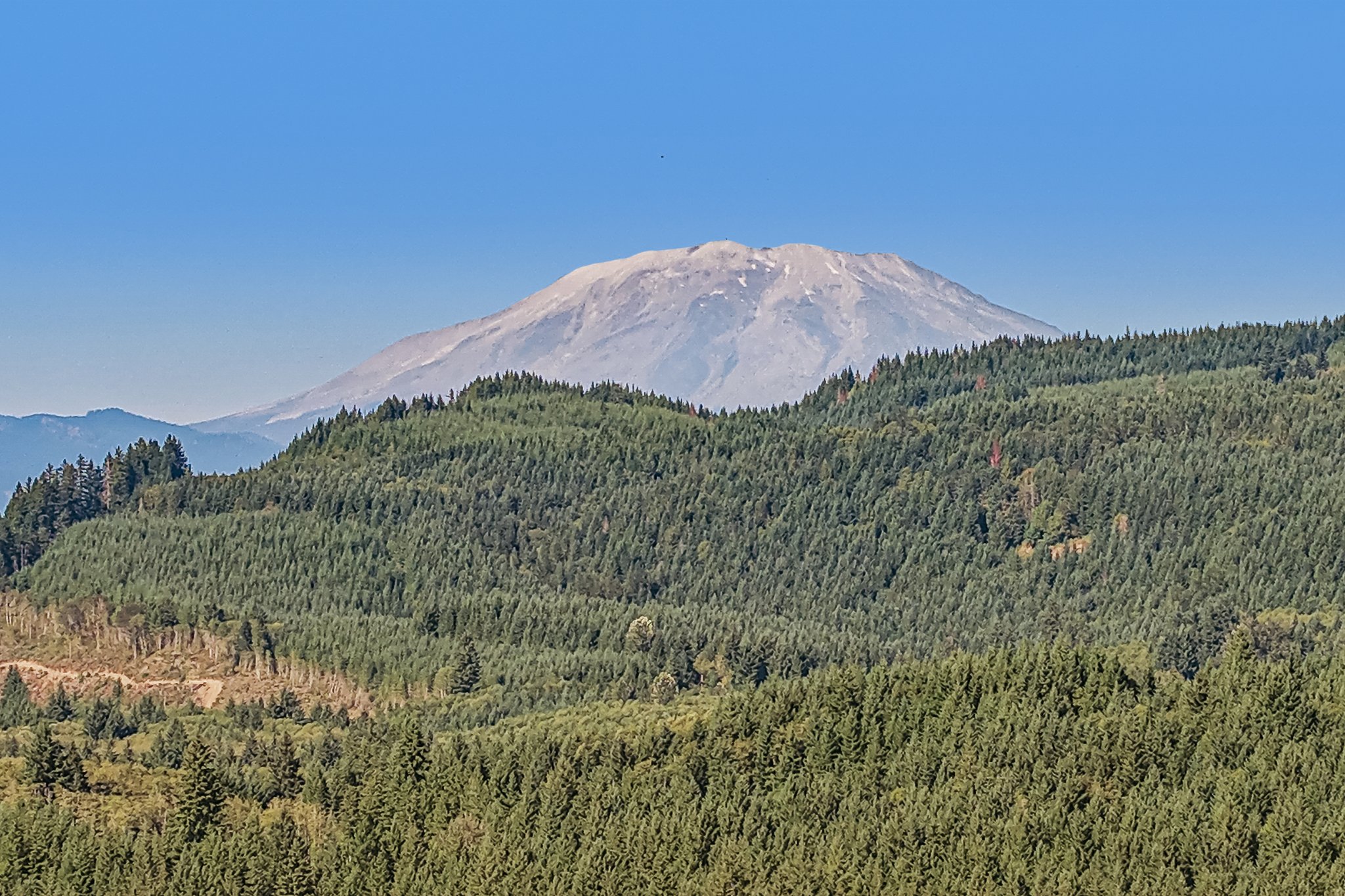 N Pine Ave-S2008-090.jpg