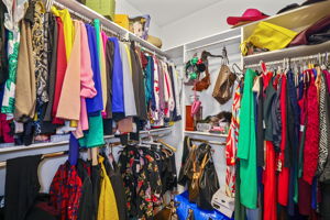 BR1 Closet 1 - 495A5679 (1)