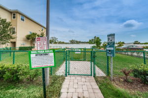 19-Dog Park