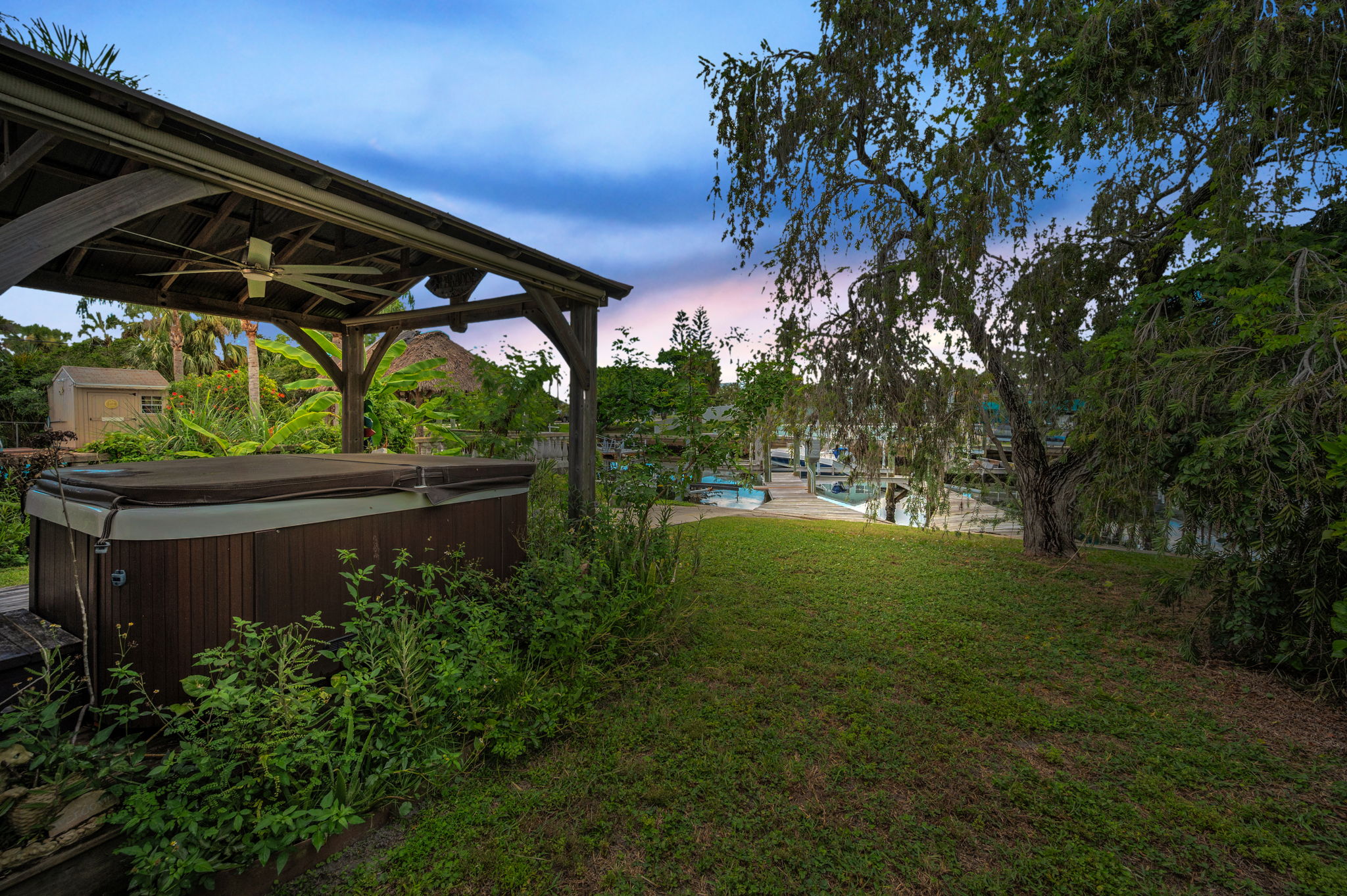 Backyard3