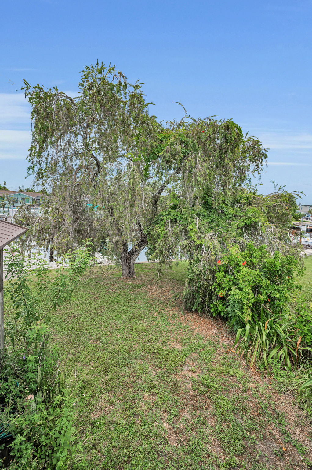 Backyard2
