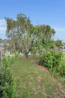 Backyard2