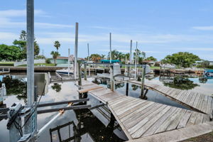 Dock1